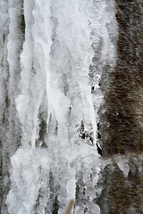 Waterfall that has frozen on a mountainside. The water has frozen in the form of icicles on a tree trunk.