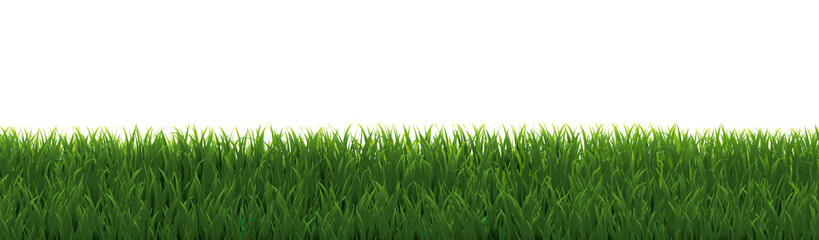 Obraz premium Green Grass Border And Isolated White Background