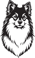 German Spitz. Hand drawn vector illustration	