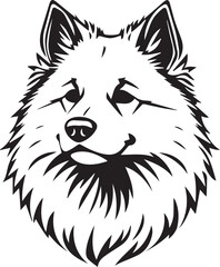 German Spitz. Hand drawn vector illustration	