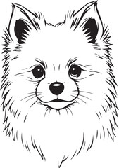 German Spitz. Hand drawn vector illustration	