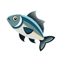 fish on a white background