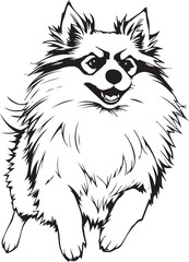German Spitz. Hand drawn vector illustration	