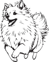 German Spitz. Hand drawn vector illustration	