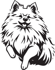 German Spitz. Hand drawn vector illustration	