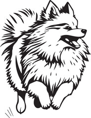 German Spitz. Hand drawn vector illustration	