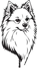 German Spitz. Hand drawn vector illustration	