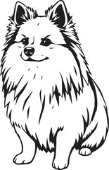 Obraz premium German Spitz. Hand drawn vector illustration 