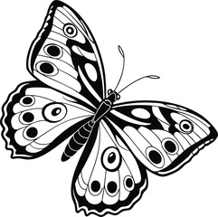 Intricate Black and White Drawing of a Butterfly With Detailed Patterns