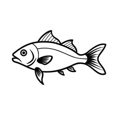 fish on a white background