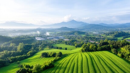 Obraz premium Lush green fields and mountains. A tranquil vista of terraced farmland meeting the foothills of distant mountains. A peaceful, scenic landscape