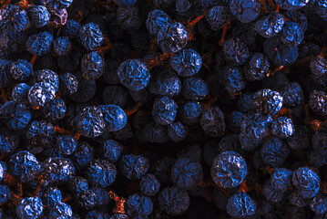 Dried fruit of the Virginia creeper, a black-berried vine