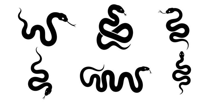 Set of snake silhouette cobra wildlife icons hand drawn illustration, African rock python animal silhouette vector art set design, Snake Silhouette vector set on white background, Snake Silhouette.