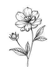 Ultimate Line Art SVG Collection – Minimal, Abstract & Boho Designs