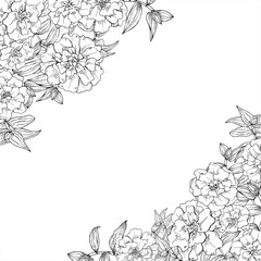 Marigold flower heads, tradescantia leaves line art vector square frame with empty space for text. Blooming flowers black ink sketch. Floral border for garden themed design, herbal product packaging
