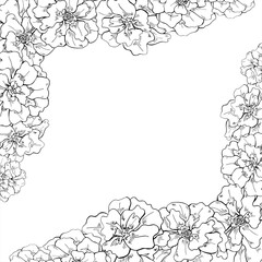 Marigold flower head vector square frame with empty space for text. Blooming calendula flowers etching drawing painted by black inks. Floral tagetes border for garden themed design, festival of lights