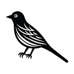 vector illustration of a bird