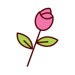 Vector image of a rose icon with a white background