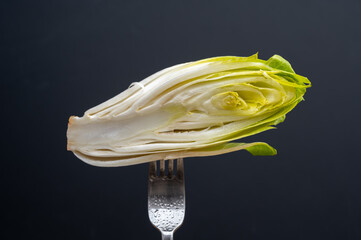 Belgian endive on a black background