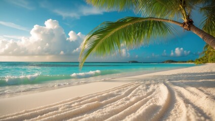 Stunning sandy shoreline with a blurred sky and coconut palm fronds.