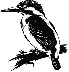 Kingfisher Silhouette Set | Bird Outline Vector Collection