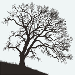 Obraz premium silhouette of a dead tree vector illustration.