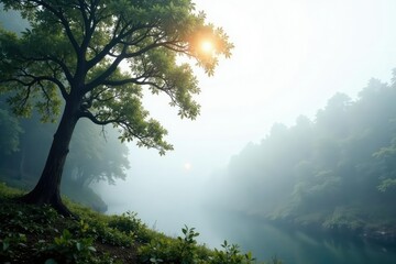 Tree branch isolated in white fog with misty forest background, calm, forest, peaceful