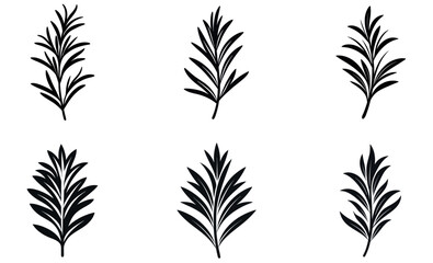 Botanical Leaf Silhouettes | Black Herb Foliage Vector Set for Design and Decoration
