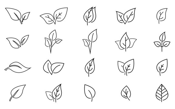 Leaf icon set outlined vector icon collection stroke elements line leaf illustration on transparent background