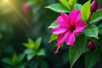 Vibrant fuchsia blossoms, intricate leafy details, nature, spring, print