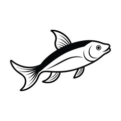 fish on a white background