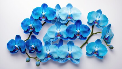 Blue orchid bouquet set against a backdrop