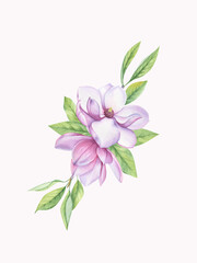 Watercolor composition of magnolia flowers and leaves is suitable for designing cards, invitations