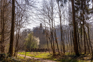 Obraz premium Historic tower of a castle framed by bare trees and spring blossoms..
