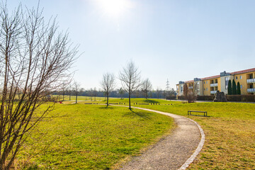 Urban green space with young deciduous trees and mowed grass in early spring sunlight..