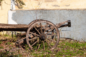 Fototapeta premium Old wooden cart in early spring overgrown with young ground vegetation..