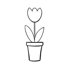 vector illustration of a tulip