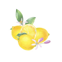 Elegant watercolor composition with bright lemons.