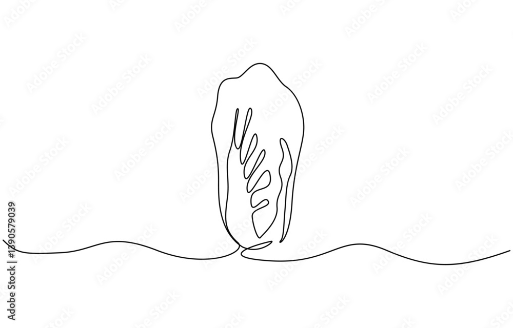 Poster chinese cabbage in continuous line art drawing style, single continuous line drawing whole and cut s