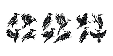 Pecking Woodpecker Vector | Wildlife Bird Silhouette Woodpecker Silhouette Set | Bird on Tree Vector Design