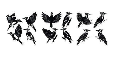 Pecking Woodpecker Vector | Wildlife Bird Silhouette Woodpecker Silhouette Set | Bird on Tree Vector Design