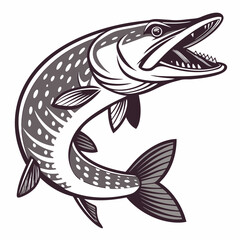 Naklejka premium Stylized pike fish with open mouth and visible teeth in monochrome vector illustration design art work