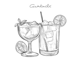 Hand drawn cocktail Illustrations. Sketch of two different cocktails in glassware, each garnished with fruit slices, mint and straws