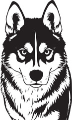 Husky dog. Hand drawn vector illustration