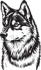 Husky dog. Hand drawn vector illustration