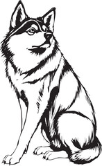 Husky dog. Hand drawn vector illustration