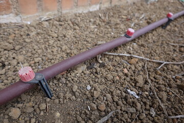 Drip irrigation system watering dry soil in garden