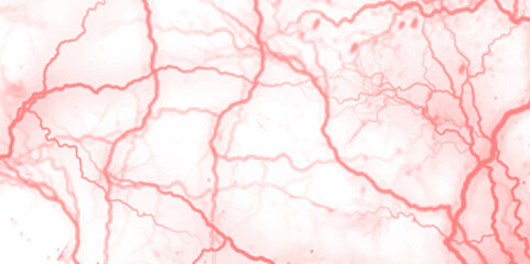 Vector marble pattern with white and black cracks Transparent texture.lines, dry cracked earth overlay texture, grunge distressed.