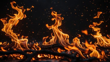 combustion, free combustion, combustion 4k, combustion environment, combustion sound, garena free combustion, combustion crackling, combustion backdrop, byron combustion, free combustion official,