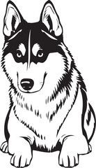 Husky dog. Hand drawn vector illustration